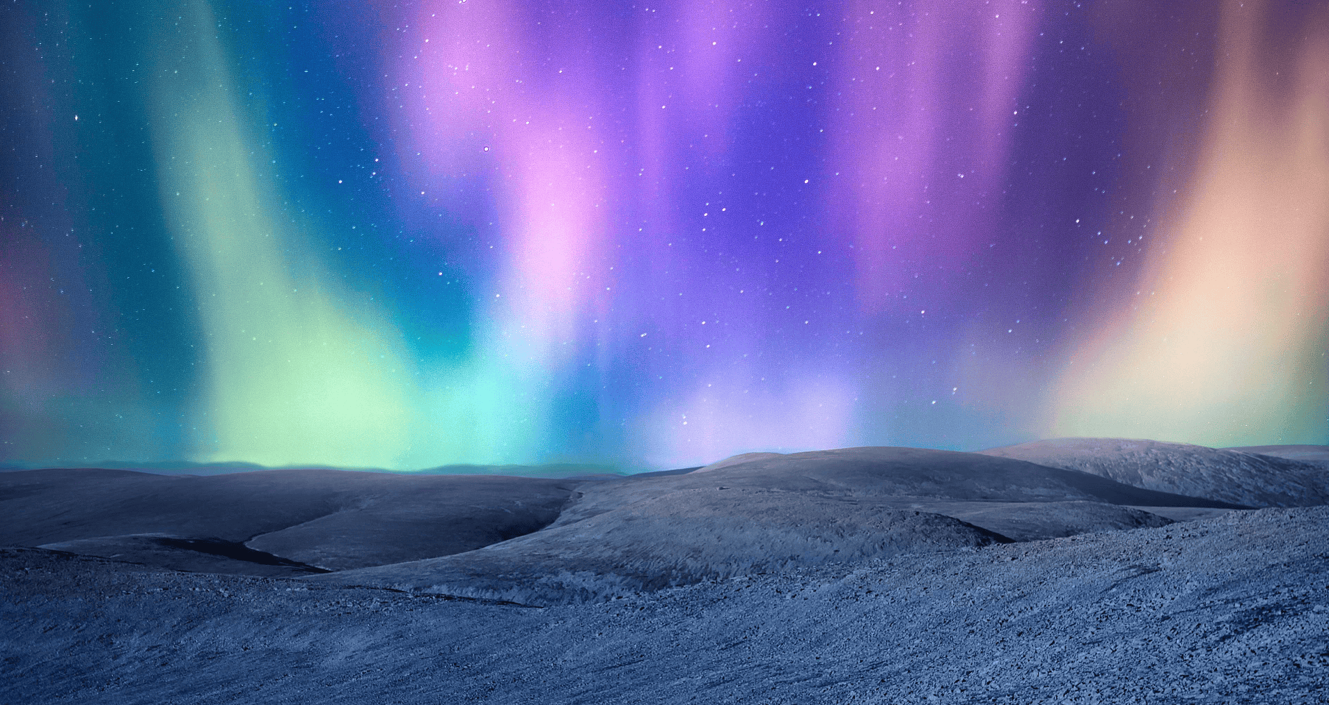 Team reviewing data and strategy