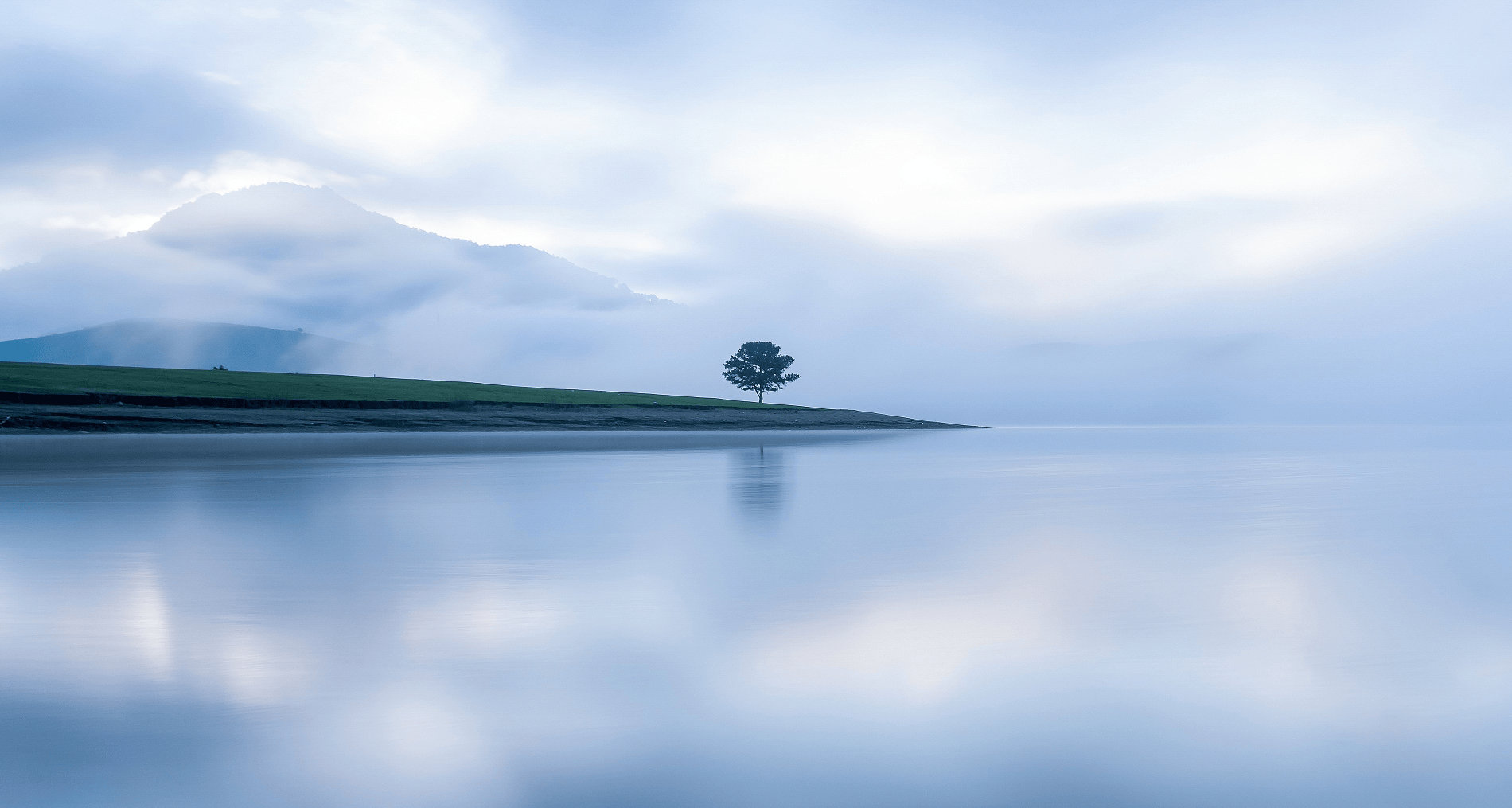 Antigravity Company Image 1